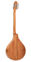 Load image into Gallery viewer, Gold Tone BZ-500: Irish Bouzouki with Pickup and Case