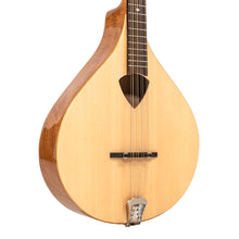 Load image into Gallery viewer, Gold Tone BZ-500: Irish Bouzouki with Pickup and Case