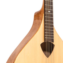Load image into Gallery viewer, Gold Tone BZ-500: Irish Bouzouki with Pickup and Case