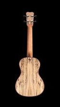 Load image into Gallery viewer, Cordoba 24C Spruce Concert Ukulele (Natural Finish)
