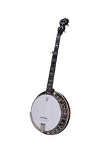 Charger l'image dans la galerie, DEERING EAGLE II 5-STRING BANJO