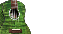 Charger l'image dans la galerie, Cordoba 15CFM Jade Green Concert Ukulele-(8310206988543)