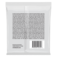 Load image into Gallery viewer, Ernie Ball 2625 Slinky Nickel Wound 8-String Electric Guitar Strings 10-74 Gauge