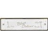 Charger l'image dans la galerie, Fender 0990701001 Blues Deluxe Harmonica - Key of C-(7792745808127)