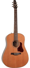 Load image into Gallery viewer, Seagull 042494 Coastline Momentum HG Acoustic Electric - MADE In CANADA - SALE ITEM - ADD TO CART FOR DISCOUNT