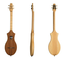 Charger l'image dans la galerie, Seagull 042517 M4 Acajou Merlin Dulcimer Égaliseur électrique FABRIQUÉ AU CANADA