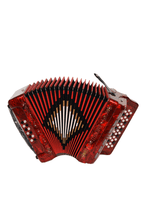 Charger l'image dans la galerie, BARONELLI USA AC3412G3 34 Button Accordion 12 Bass 3 Switches-(6671508930754)