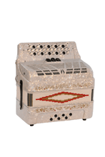 Charger l'image dans la galerie, BARONELLI USA AC3412G3 34 Button Accordion 12 Bass 3 Switches-(6671508930754)