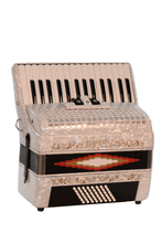 Charger l'image dans la galerie, Baronelli USA ACPK30 Piano Accordion 30 Keys 48 Bass 3 Switches-(6670429552834)