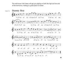 Charger l'image dans la galerie, KIT HARMONICA JOUER AUJOURD'HUI