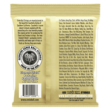 Load image into Gallery viewer, ERNIE BALL 2008 EARTHWOOD ROCK AND BLUES W/PLAIN G 80/20 BRONZE ACOUSTIC GUITAR STRINGS - 10-52 GAUGE-(6633995763906)