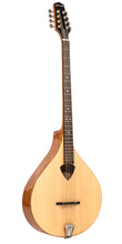 Load image into Gallery viewer, Gold Tone BZ-500: Irish Bouzouki with Pickup and Case
