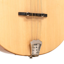 Load image into Gallery viewer, Gold Tone BZ-500: Irish Bouzouki with Pickup and Case
