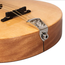Load image into Gallery viewer, Gold Tone BZ-500: Irish Bouzouki with Pickup and Case
