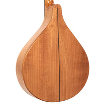 Load image into Gallery viewer, Gold Tone BZ-500: Irish Bouzouki with Pickup and Case
