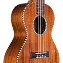 Charger l'image dans la galerie, Cordoba 25T Tenor Ukulele (Exotic Acacia)
