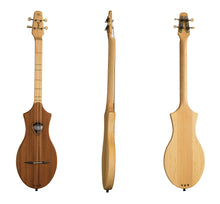 Charger l'image dans la galerie, Seagull 042517 M4 Acajou Merlin Dulcimer Égaliseur électrique FABRIQUÉ AU CANADA
