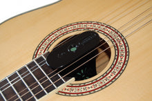 Charger l'image dans la galerie, Guitare/Instrument Humidificateur
