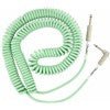 Charger l'image dans la galerie, CÂBLE POUR INSTRUMENT SURF GREEN SÉRIE ORIGINAL COIL 30 PIEDS 
