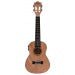 Charger l'image dans la galerie, ALOHA FO900E FLAMED OKOUME SERIES UKULELE WITH PICKUP - CONCERT
