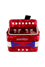 Charger l'image dans la galerie, Accordéon bouton junior
