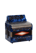 Charger l'image dans la galerie, BARONELLI USA AC3112STG Full Size 31 Button Accordion-(6671525249218)
