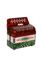 Charger l'image dans la galerie, BARONELLI USA AC3412G3 34 Button Accordion 12 Bass 3 Switches-(6671508930754)
