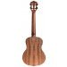 Charger l'image dans la galerie, Aloha Solid Cedar Top Acoustic Electric Ukulele - Tenor
