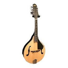Load image into Gallery viewer, STADIUM A-STYLE MANDOLIN VINTAGE F HOLES
