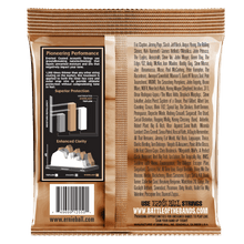 Load image into Gallery viewer, ERNIE BALL 2550 EVERLAST EXTRA LIGHT COATED PHOSPHOR BRONZE ACOUSTIC GUITAR STRINGS - 10-50 GAUGE-(6635127341250)
