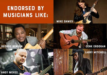 Charger l'image dans la galerie, Ampli HONZ Tech ToneWood pour guitare acoustique 
